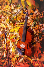 Violin On The Background Of Autumn Leaves And Grass.