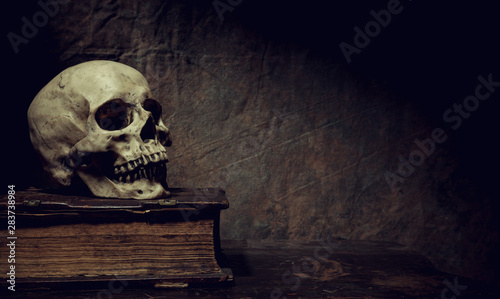 Fotomural The skull lies on an old book. Photo taken in vintage style.