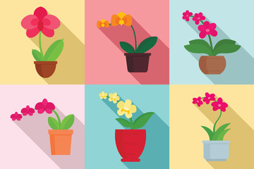 Wall Mural - Orchid icons set. Flat set of orchid vector icons for web design