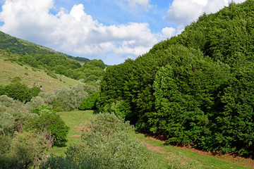 Poster - Naturlandschaft des Mt. Varnous im Nationalpark Prespa/Griechenland - wild nature of Mt. Varnous in prespa national park/Greece)