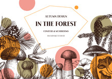 Vintage Autumn Card Design. Hand Drawn Leaves, Conifers, Berries, Mushrooms Illustrations. Vector Mushrooms Template. Trendy Background