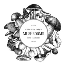 Edible Mushrooms Vector Wreath.  Forest Plants Background. Perfect For Recipe, Menu, Label, Icon, Packaging. Vintage Mushrooms Design. Healthy Food Elements. Hand Drawn Illustration.