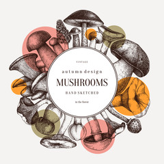 Edible mushrooms vector wreath.  Forest plants background. Perfect for recipe, menu, label, icon, packaging. Vintage mushrooms design. Healthy food elements. Hand drawn illustration.