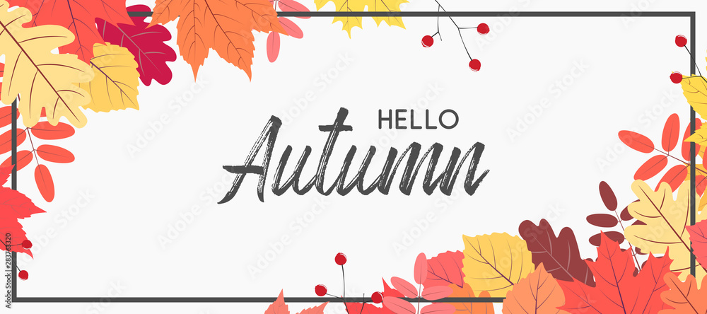 Hello autumn falling leaves. Autumnal foliage fall and poplar leaves. Autumn design. Templates for placards, banners, flyers, presentations, reports. - obrazy, fototapety, plakaty 