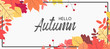 Hello autumn falling leaves. Autumnal foliage fall and poplar leaves. Autumn design. Templates for placards, banners, flyers, presentations, reports.