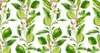 Lime fruit seamless pattern watercolor tree branch with flowers realistic botanical floral surface design: whole half citrus leaves isolated artwork on white hand drawn for textile wallpaper