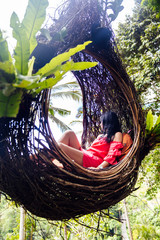 Wall Mural - A female tourist is sitting on a large bird nest on a tree at Bali island