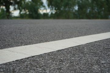 Road traffic paint White on the asphalt surface