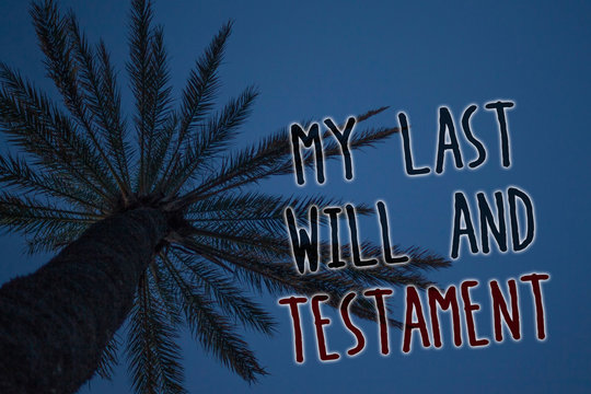 Text sign showing My Last Will And Testament. Conceptual photo List of things to be made after his or her death Tree palm sky blue natural scene landscape love message memories beautiful