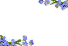 Frame Of Blue Flowers Forget-me-nots ( Scorpion Grasses ) On A White Background With Space For Text. Top View, Flat Lay