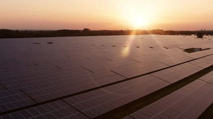 Wall Mural - Aerial view slowly panning over a solar farm at sunrise in the English countryside