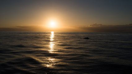  A whale breathing at sunset