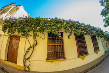 Facade and flowers in Cartagena Colombia