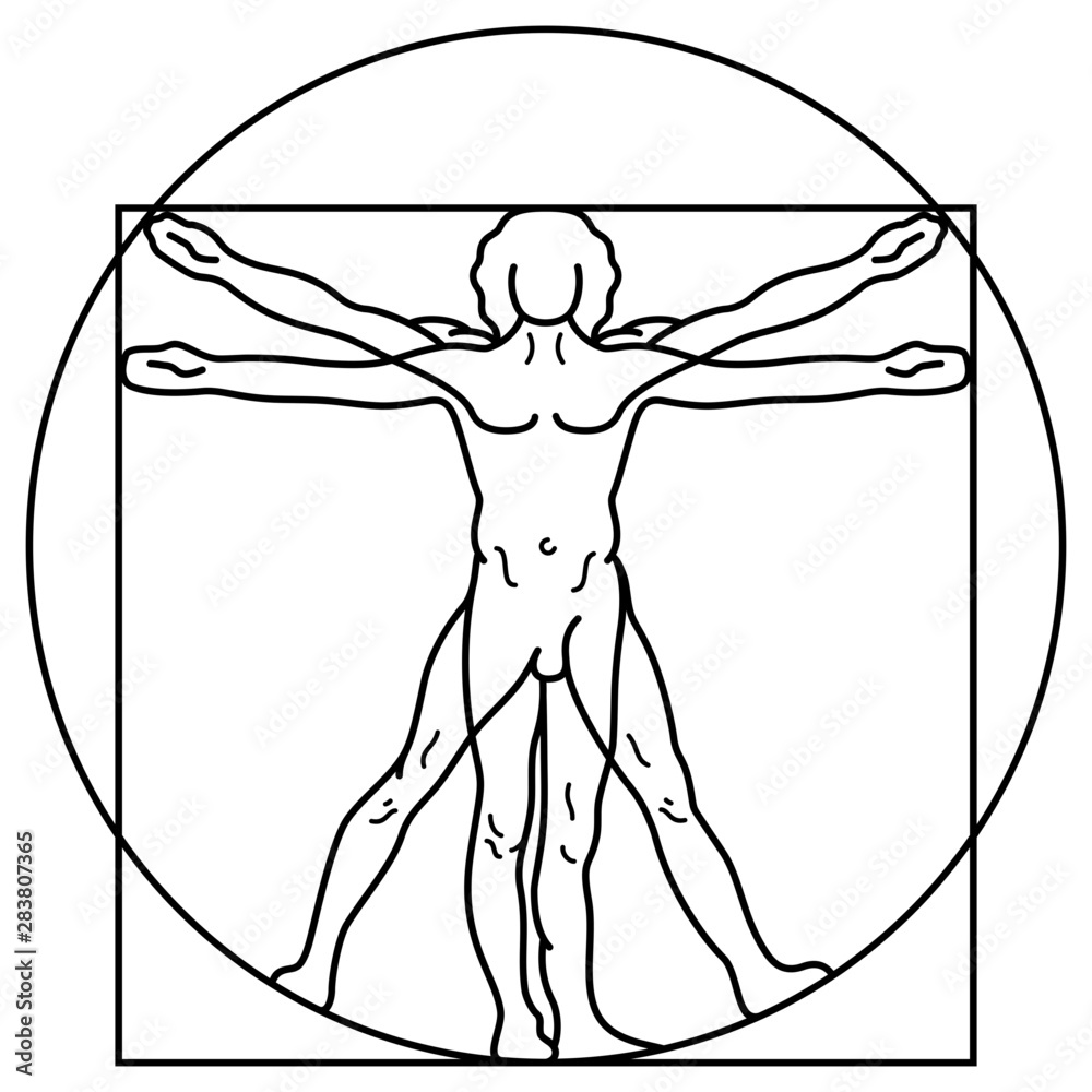 Human anatomy Stock Vector | Adobe Stock
