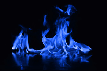 Beautiful fire blue flames on a black background.