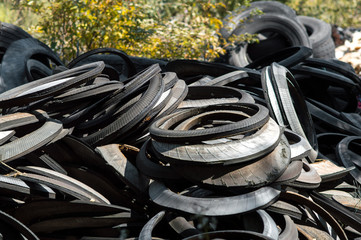 Wall Mural - recycling old car tires landfill rubber waste dump