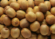 © Pixel-Shot - Many ripe kiwi as background