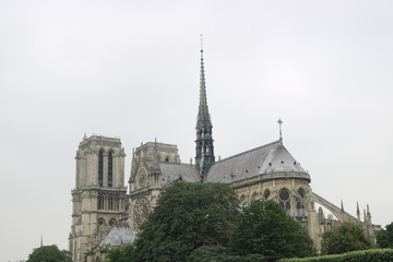 Wall Mural - notre dame de paris