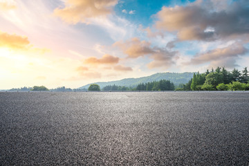 Country road and green woods nature landscape at sunset