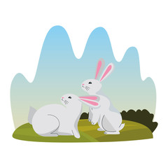 Cute two rabbits animals cartoons