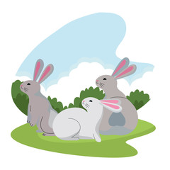 Wall Mural - Cute three rabbits animals cartoons