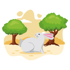 Wall Mural - Cute rabbit pet animal cartoon