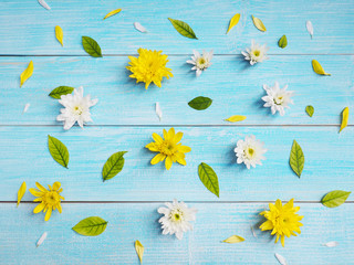 Wall Mural - close up white and yellow chrysanthemum flowers on blue wood.
