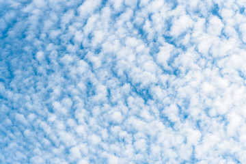 Wall Mural - Background A lot of beautiful Small Fluffy Clouds with blue sky in the morning