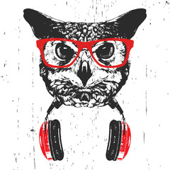 Wall Mural - Portrait of Owl with glasses and headphones. Hand-drawn illustration. T-shirt design. Vector