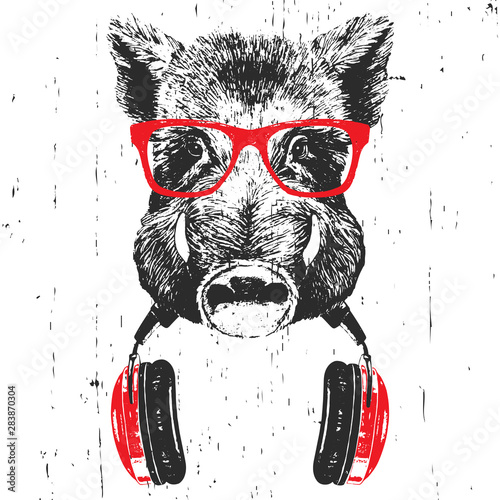 Foto-Plissee zum Schrauben - Portrait of Boar with glasses and headphones. Hand-drawn illustration. Vector (von inst:@victoria_novak)