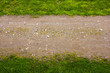 horizontal strip of green grass and dirt road, blurred focus