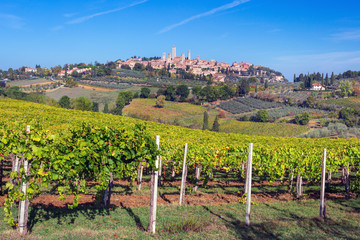 Wall Mural - San Gimignano and vineyards around this Italian beautiful city (UNESCO heritage), Italy