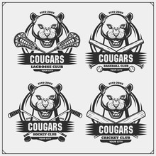 Cricket, Lacrosse, Baseball And Hockey Logos And Labels. Sport Club Emblems With Cougars. Print Design For T-shirt.