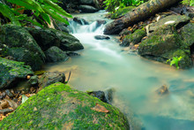 Small Streams In Forests And Upstream Forests In The Rainy Season