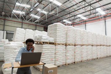 Wall Mural - Female manager talking on mobile phone while using laptop at desk in warehouse