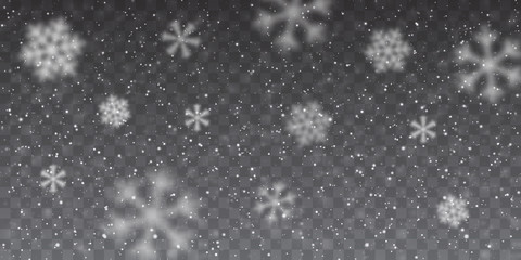 Wall Mural - christmas snow. heavy snowfall. falling snowflakes on transparent background. white snowflakes flyin
