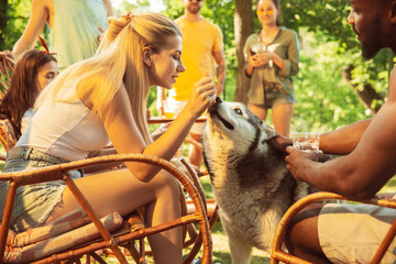 Wall Mural - Group of happy friends having beer and barbecue party at sunny day. Resting together outdoor in a forest glade or backyard. Celebrating and relaxing, laughting. Summer lifestyle, friendship concept.