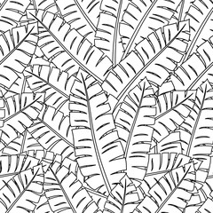 Sticker - Seamless pattern with contour lines of tropical leaves on a white background.