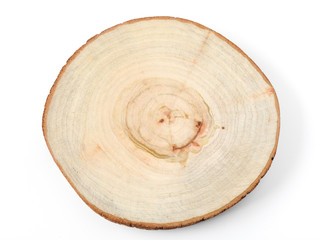 Top view of wood slice isolated on white background. With copy space. Nature and wood concept. Wood texture. Tree ring.