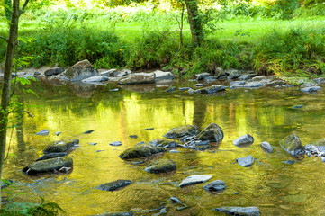 Wall Mural - Along the river Barle in Tarr Steps Woodland