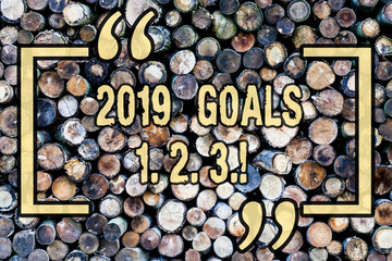 Word writing text 2019 Goals 1 2 3. Business photo showcasing Resolution Organize Beginnings Future Plans Wooden background vintage wood wild message ideas intentions thoughts