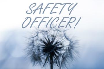 Poster - Word writing text Safety Officer. Business photo showcasing a demonstrating responsible for ensuring safety regulations