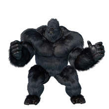 Super Gorilla Is Ready To Fight