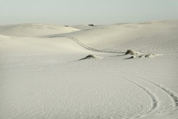 Wall Mural - Southern Africa sandy sand