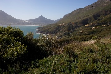 Wall Mural - sunny natural South Africa