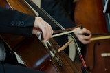 Fototapeta  - violoncello