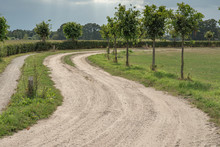 Curved Dirt Road In Summer Rural Landscape Under Cloudy Sky.