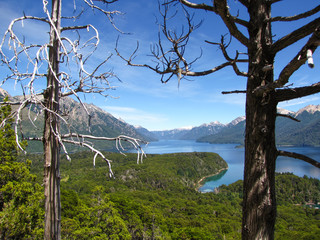 Dead trees in front of an amazing patagonian landscape of mountains, lakes and green scenery under a blue sky, Patagonia, Bariloche, Argentina, South America