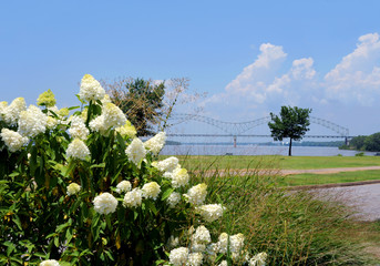 Wall Mural - Hernando de Soto Bridge and Riverfront Park