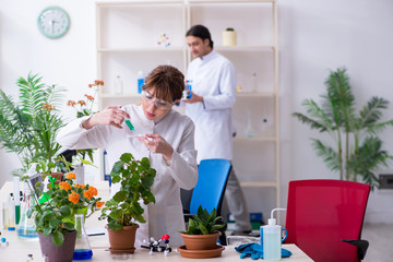 two young botanist working in the lab